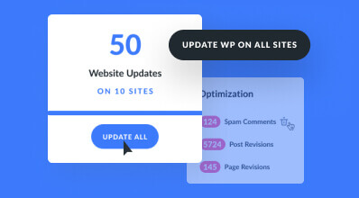 Divi Dash Bulk Editing