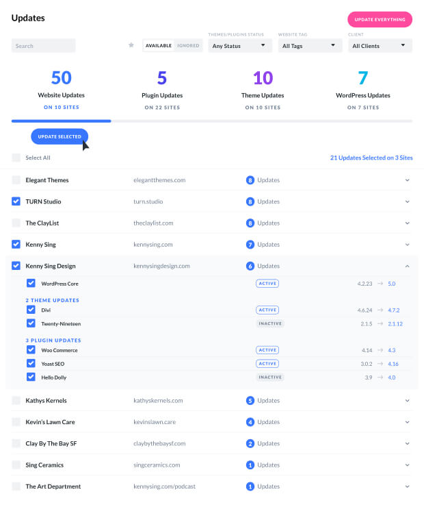 Divi Dash Bulk Updates