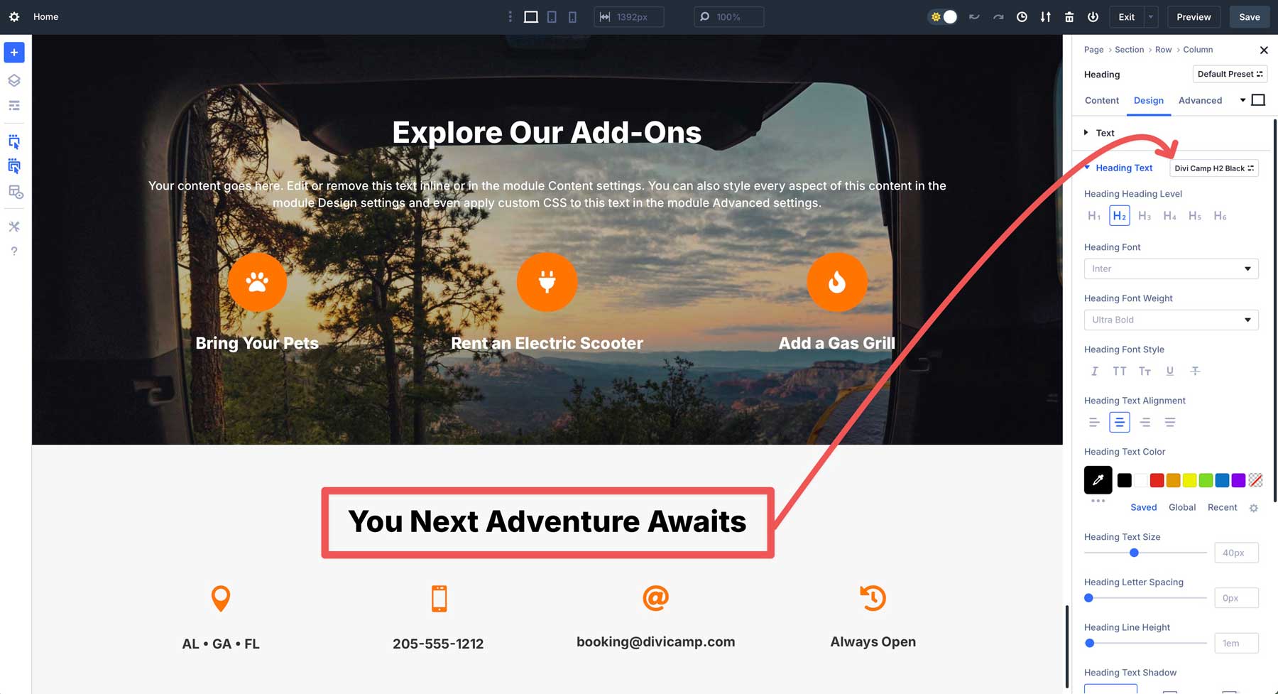 Divi Option Group Presets