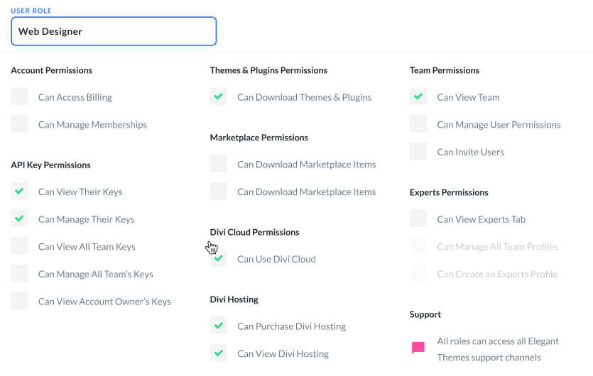 Divi Teams Permissions